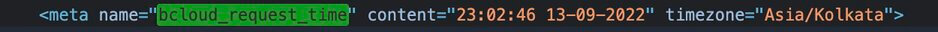 meta tag in the header of page showing page creation time - to be used for cache testing